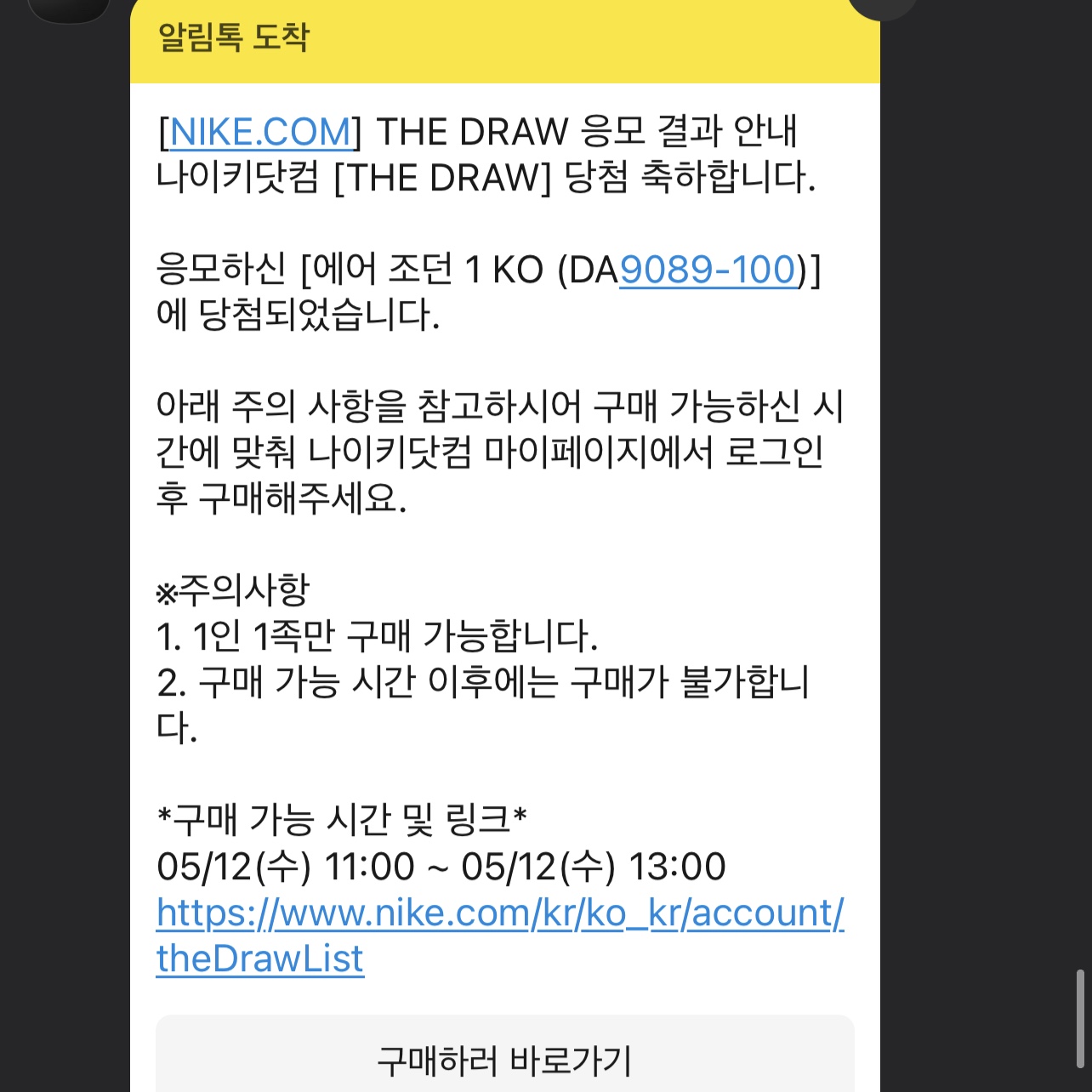 Jordan 1 KO Chicago 2021 착용 스타일