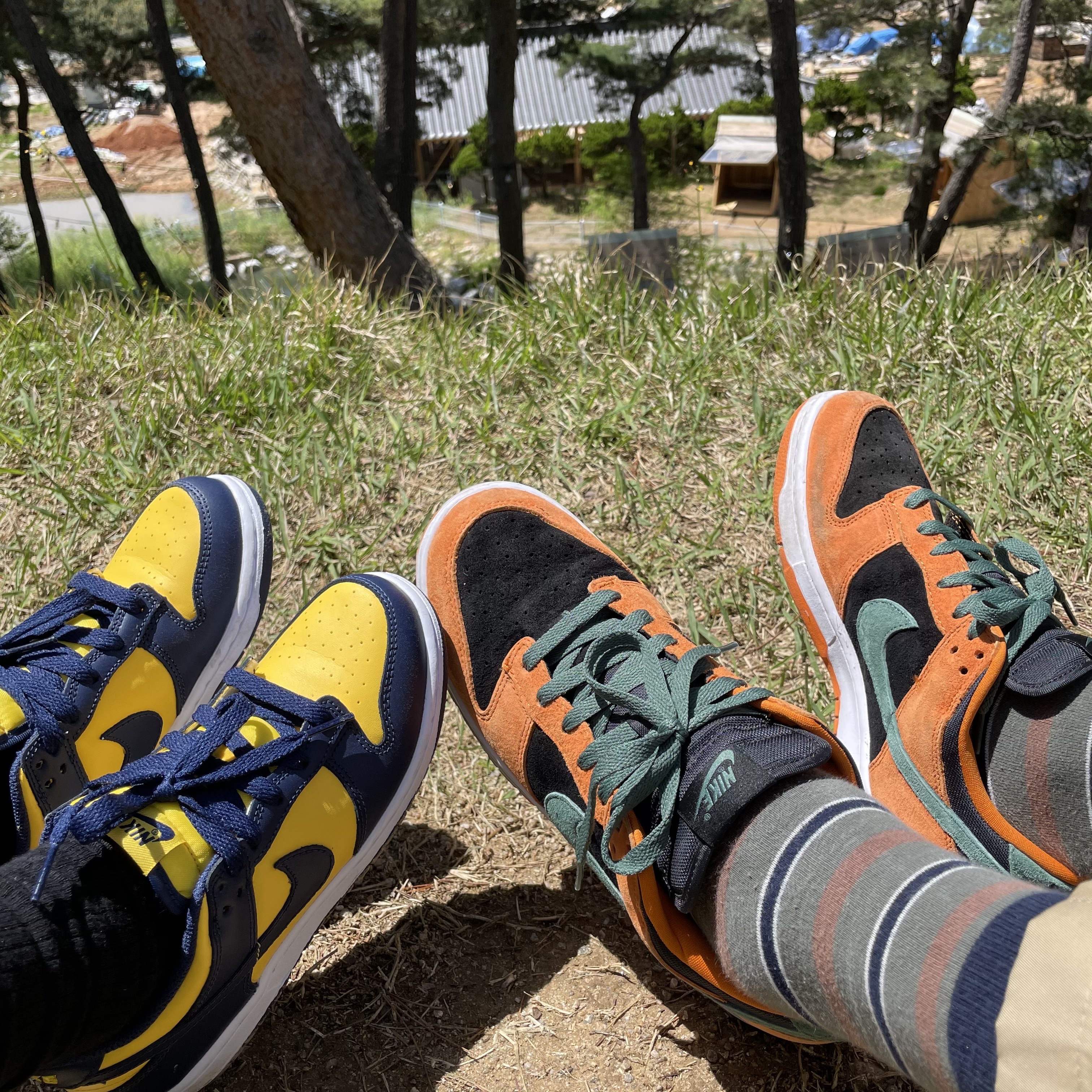 (PS) Nike Dunk Low Varsity Maize, Nike Dunk Low SP Ceramic 착용 스타일
