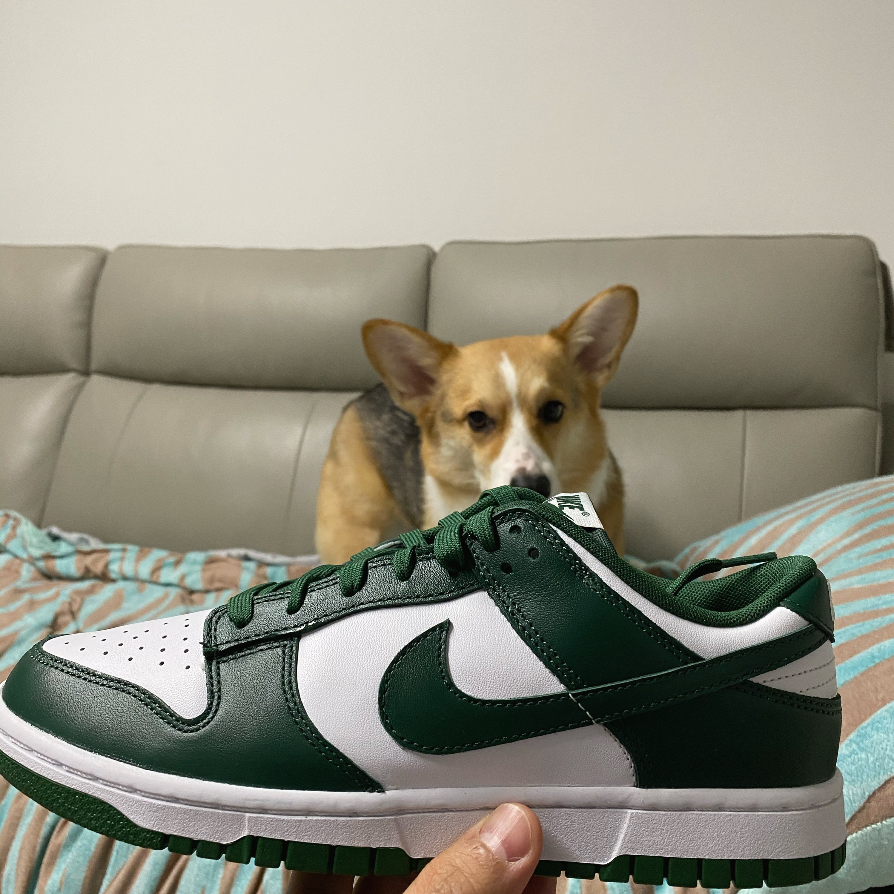 Nike Dunk Low Retro Varsity Green 착용 스타일