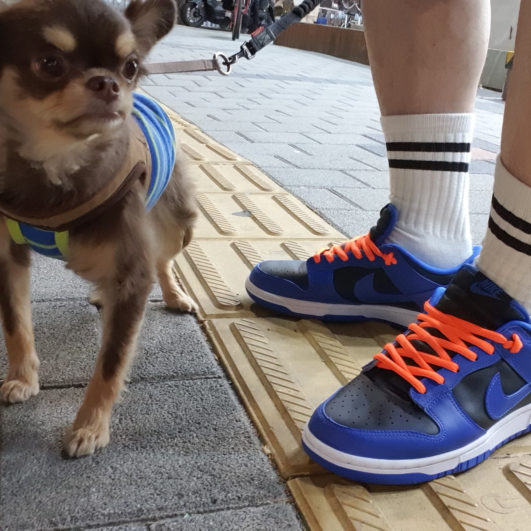 Nike Dunk Low Retro Hyper Cobalt 착용 스타일 - 4