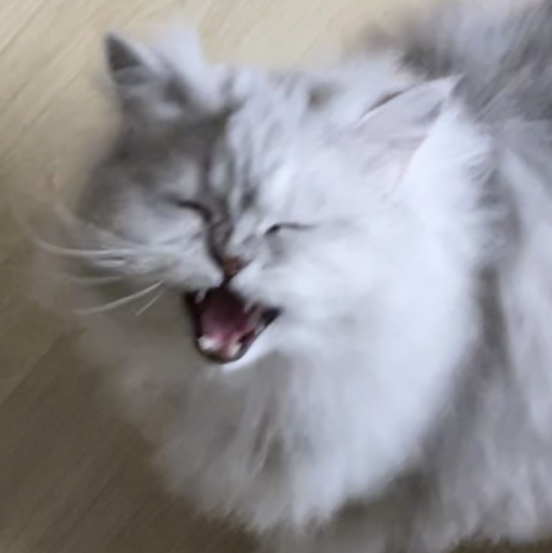 정짱s님의 스타일