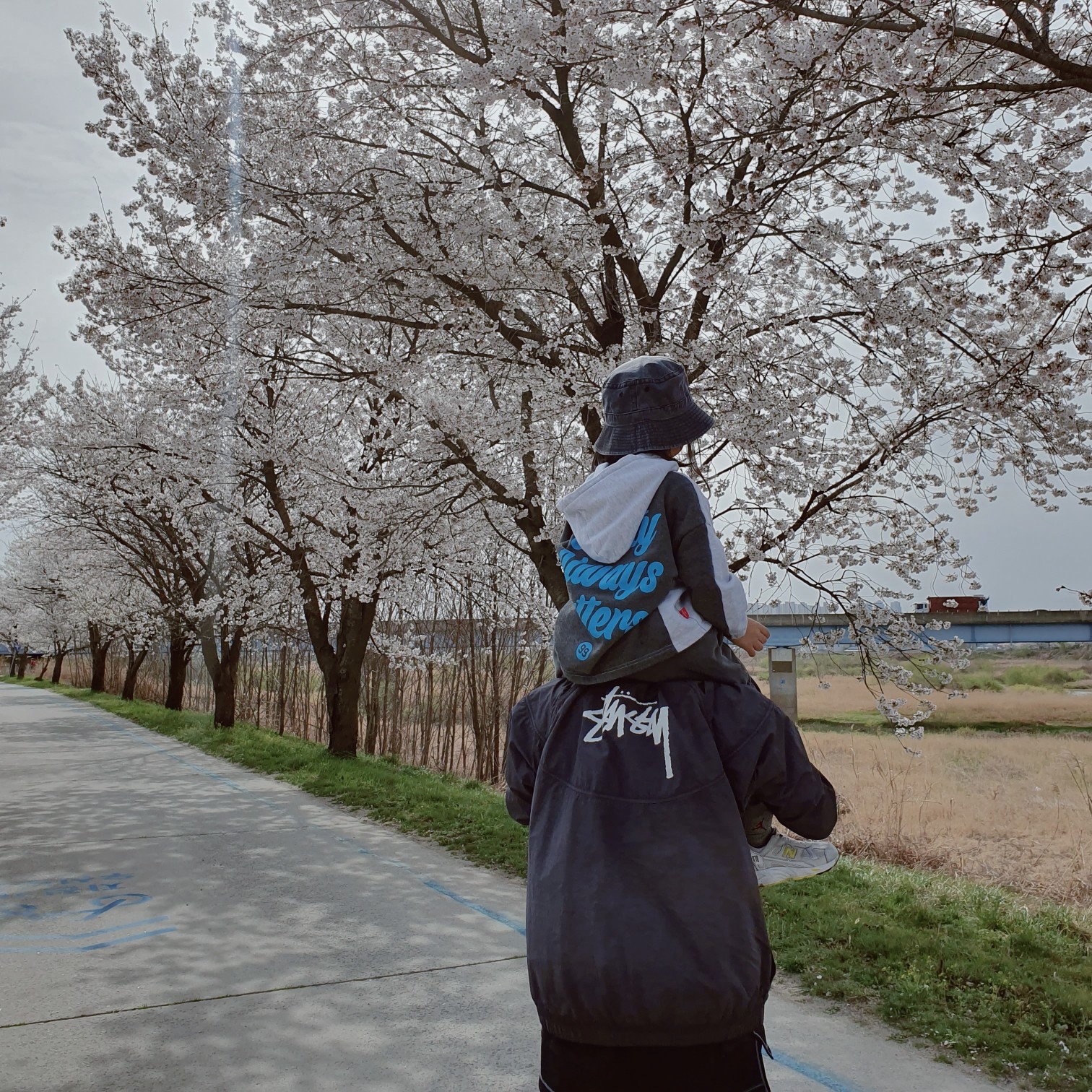 Nike x Stussy Windrunner Jacket Off Noir, Nike Air Foamposite One Abalone 착용 스타일 - 2
