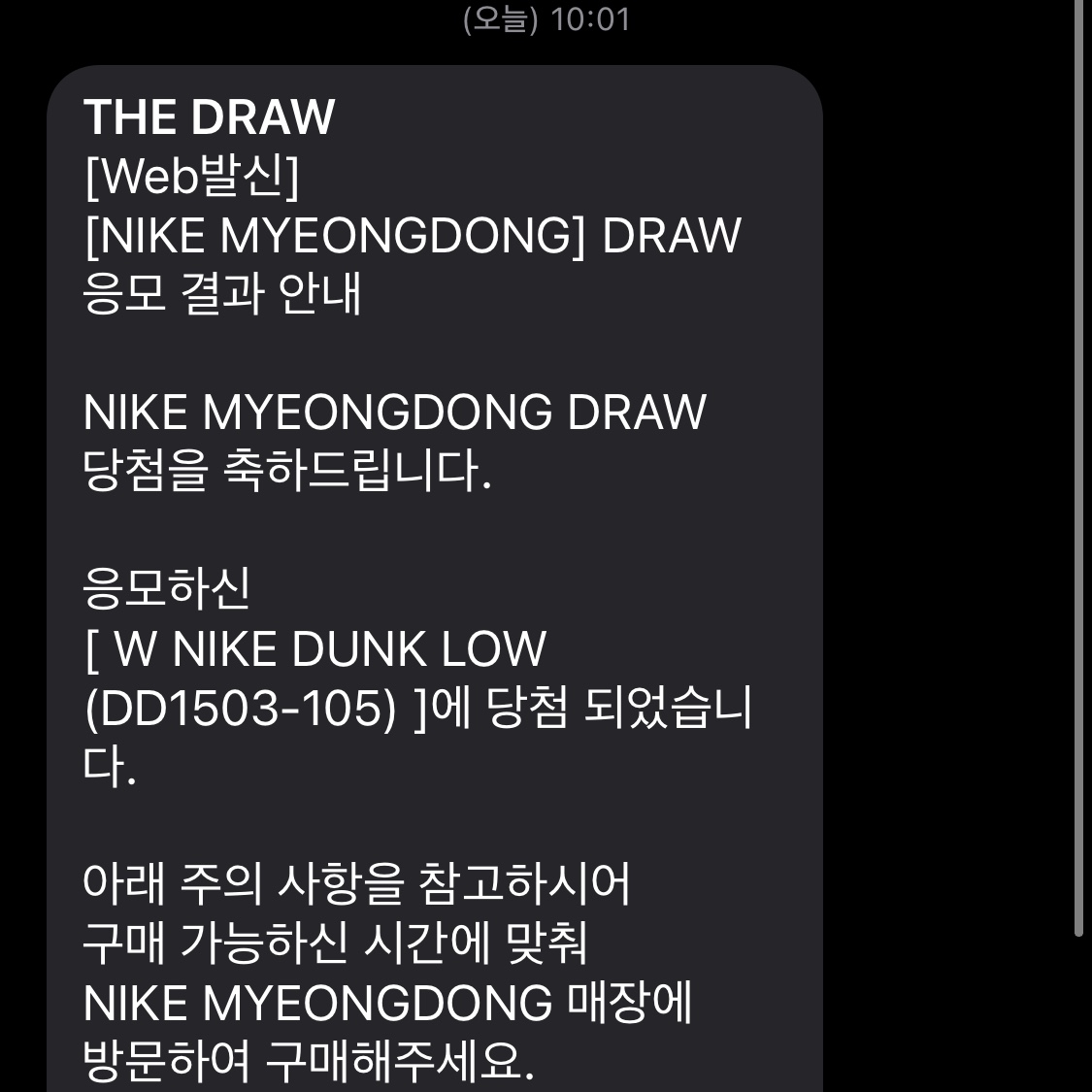 (W) Nike Dunk Low Green Glow 착용 스타일