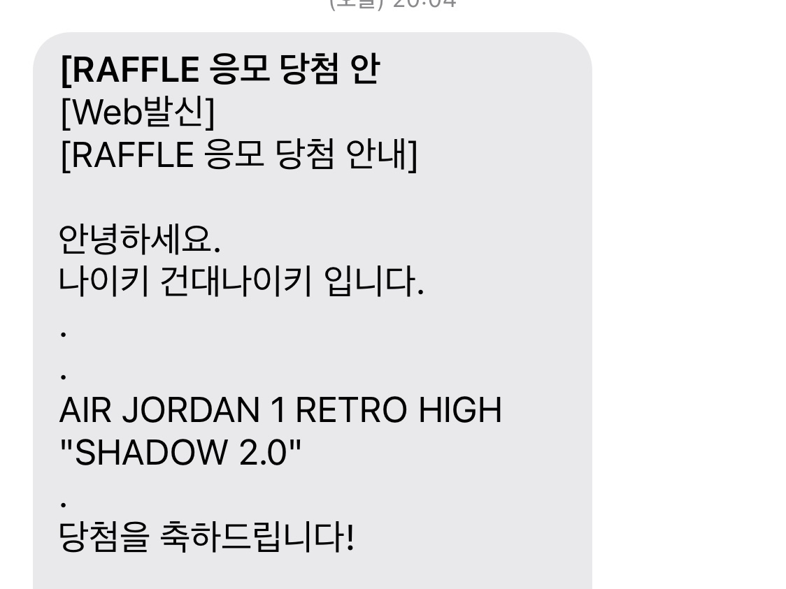 Jordan 1 Retro High OG Shadow 2.0 착용 스타일