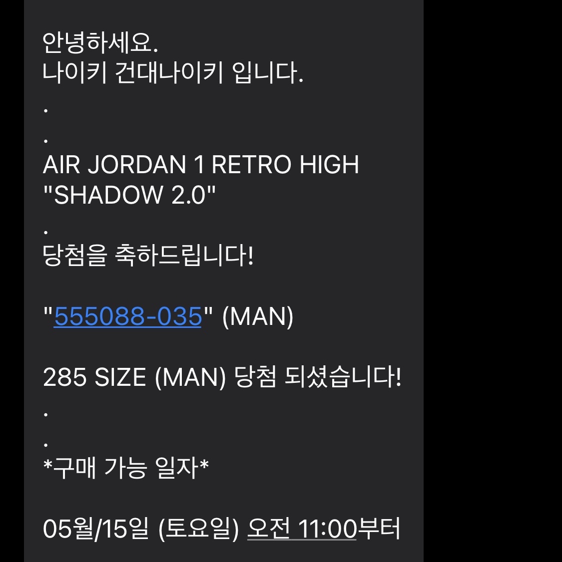 Jordan 1 Retro High OG Shadow 2.0 착용 스타일