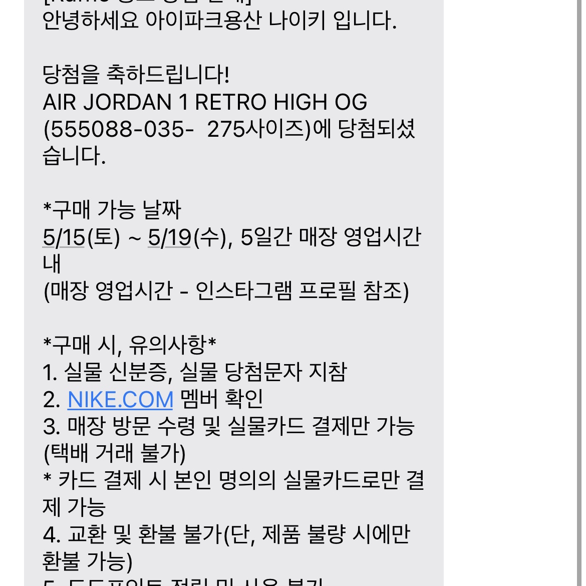 Jordan 1 Retro High OG Shadow 2.0 착용 스타일 - 2