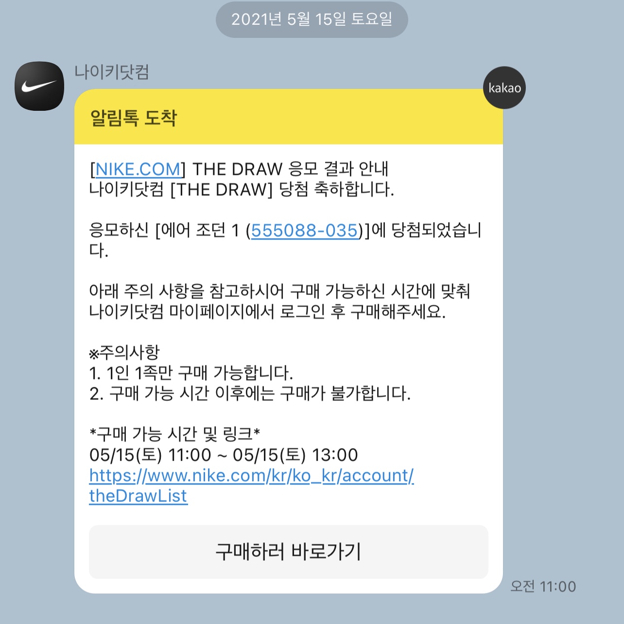 Jordan 1 Retro High OG Shadow 2.0 착용 스타일