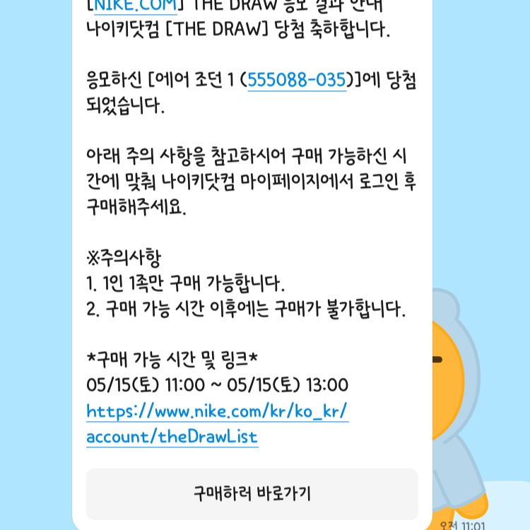 Jordan 1 Retro High OG Shadow 2.0 착용 스타일