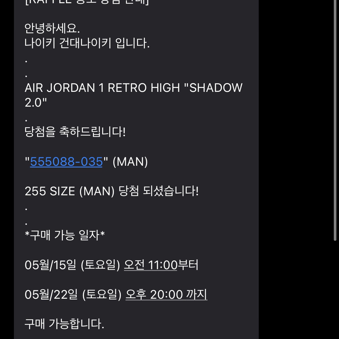 Jordan 1 Retro High OG Shadow 2.0 착용 스타일 - 2