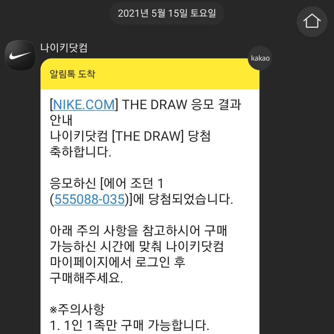 Jordan 1 Retro High OG Shadow 2.0 착용 스타일 - 1