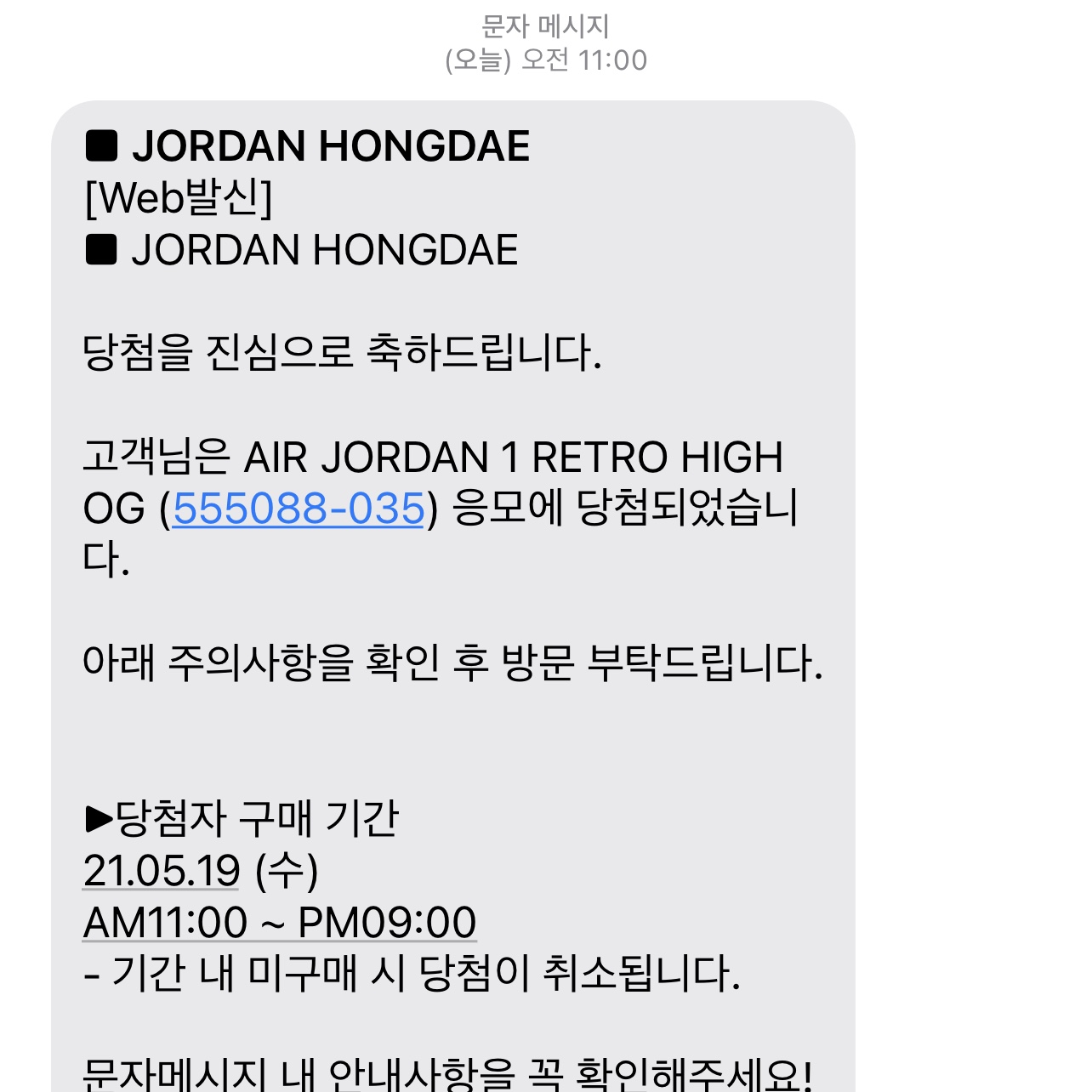 Jordan 1 Retro High OG Shadow 2.0 착용 스타일