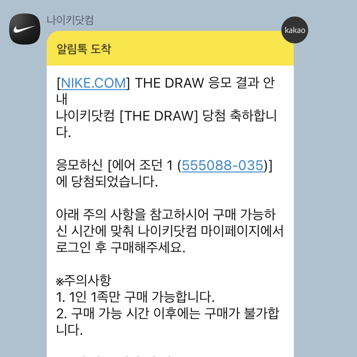 Jordan 1 Retro High OG Shadow 2.0 착용 스타일