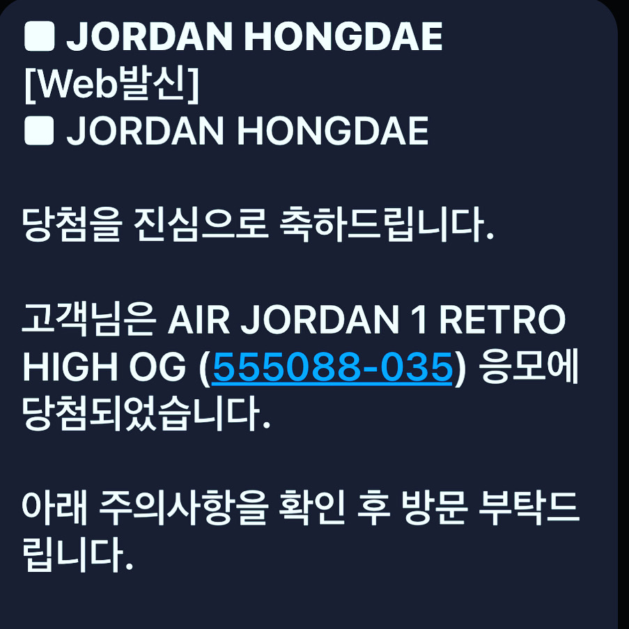 Jordan 1 Retro High OG Shadow 2.0 착용 스타일 - 1
