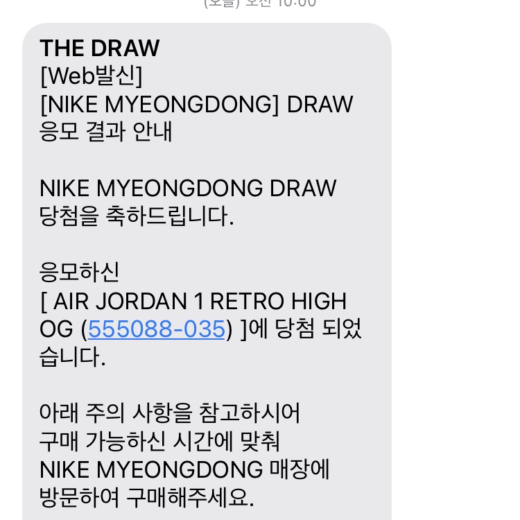 Jordan 1 Retro High OG Shadow 2.0 착용 스타일