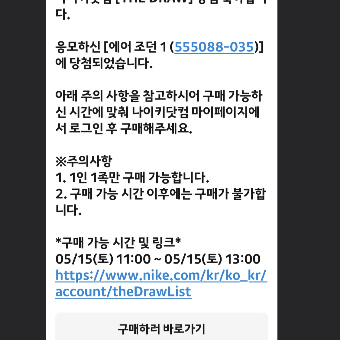 Jordan 1 Retro High OG Shadow 2.0 착용 스타일 - 1