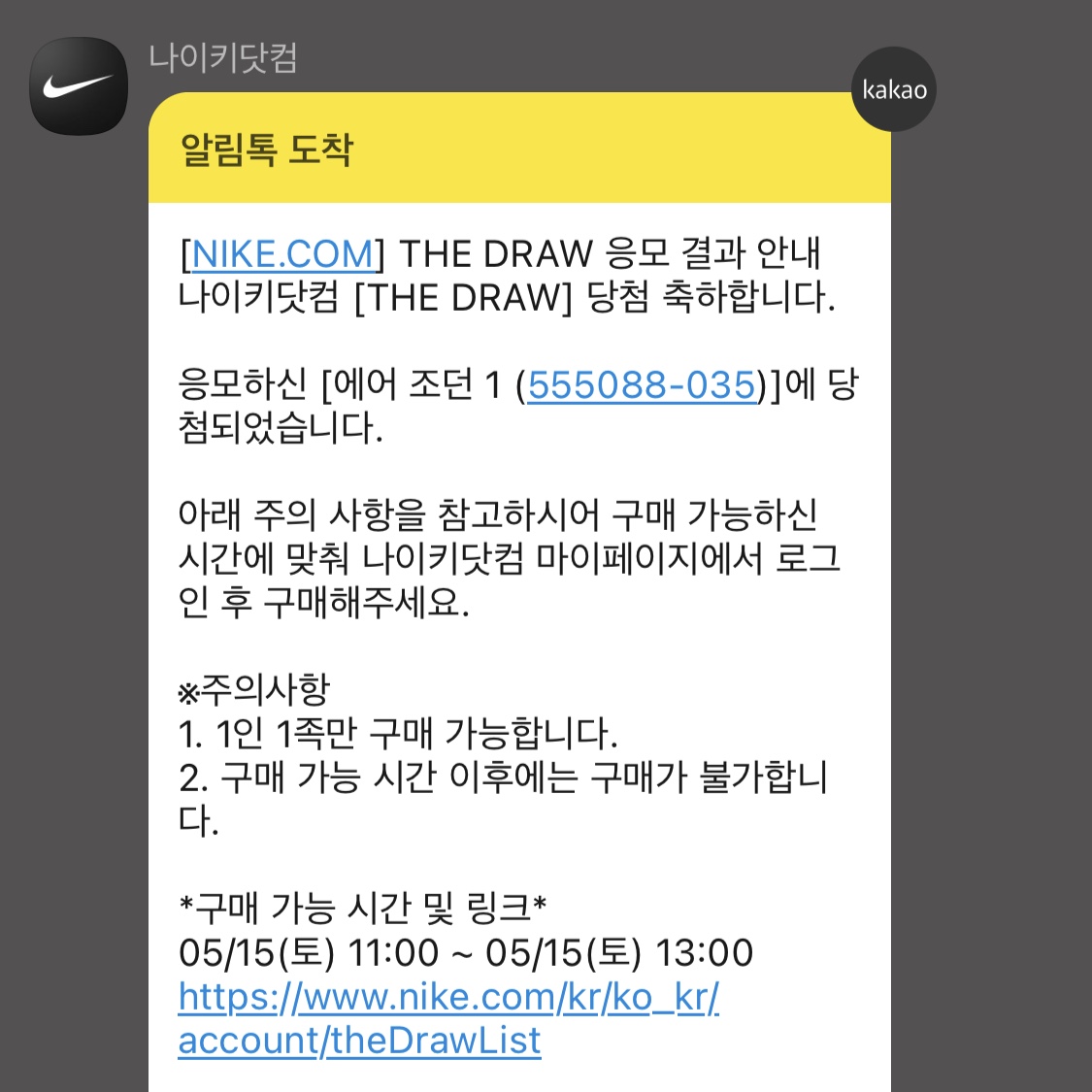 Jordan 1 Retro High OG Shadow 2.0 착용 스타일