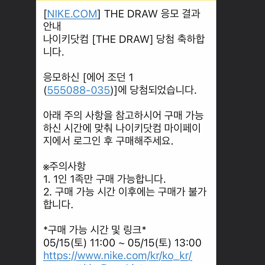 Jordan 1 Retro High OG Shadow 2.0 착용 스타일