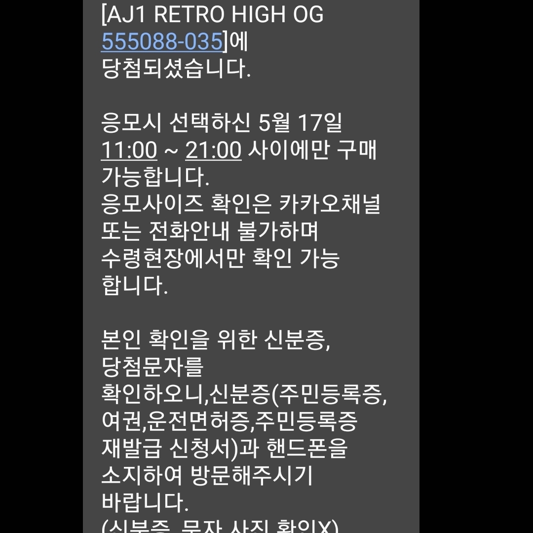 Jordan 1 Retro High OG Shadow 2.0 착용 스타일
