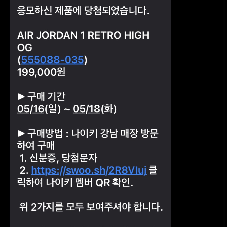Jordan 1 Retro High OG Shadow 2.0 착용 스타일