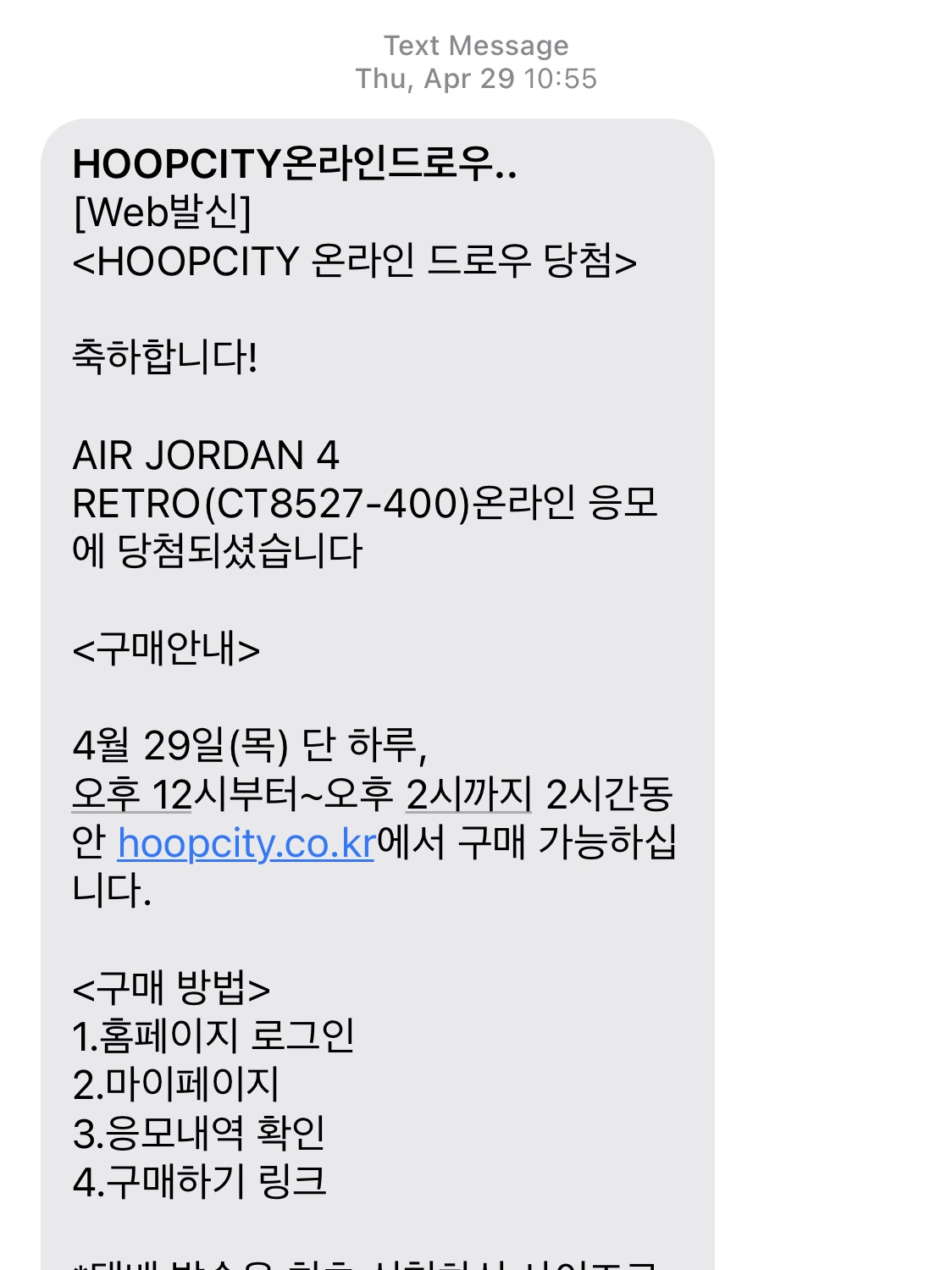 Jordan 4 Retro University Blue 착용 스타일