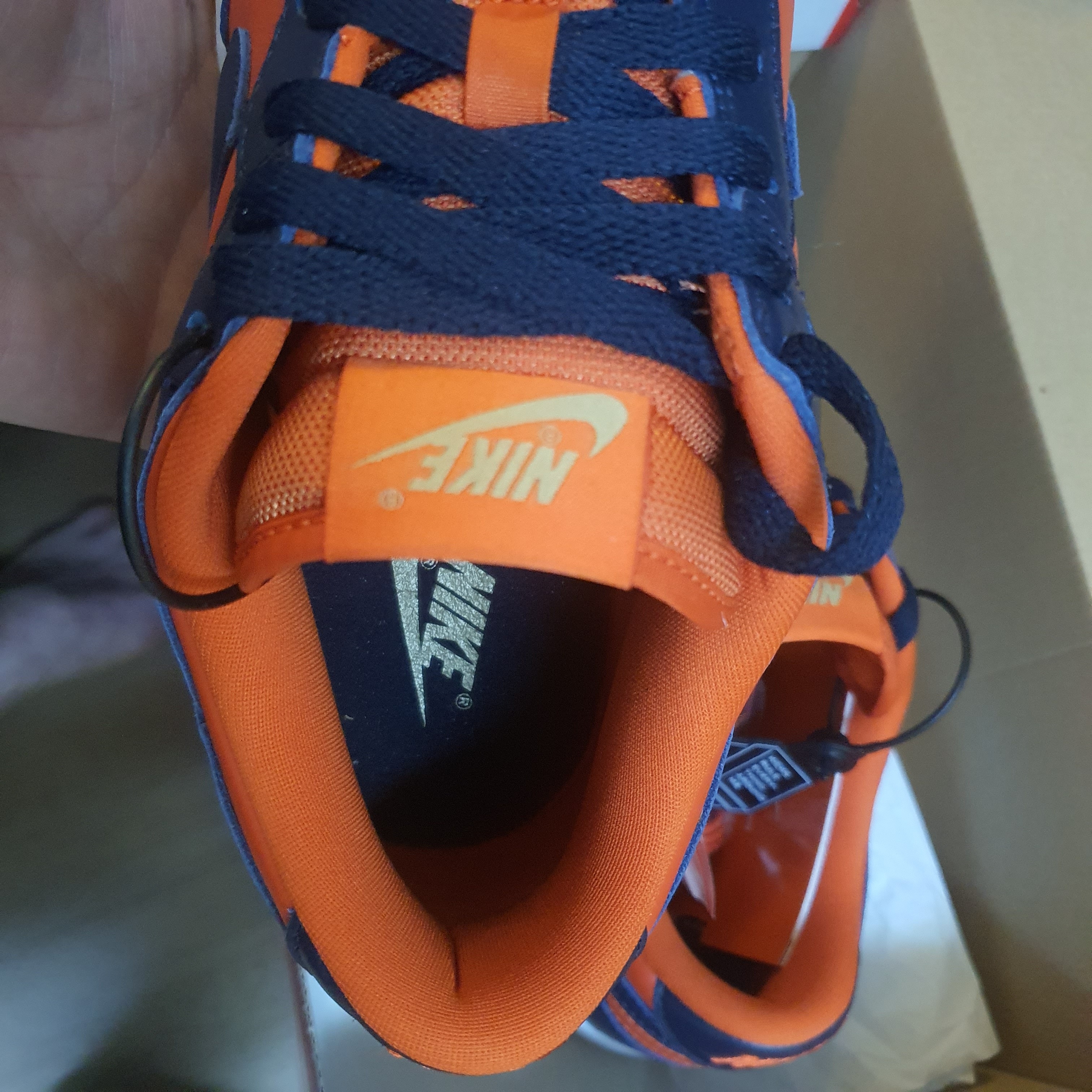 Nike Dunk Low SP Champ Colors 착용 스타일 - 3