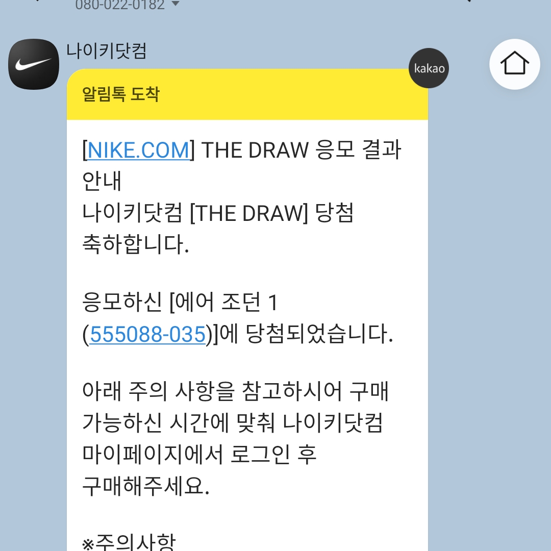 Jordan 1 Retro High OG Shadow 2.0 착용 스타일