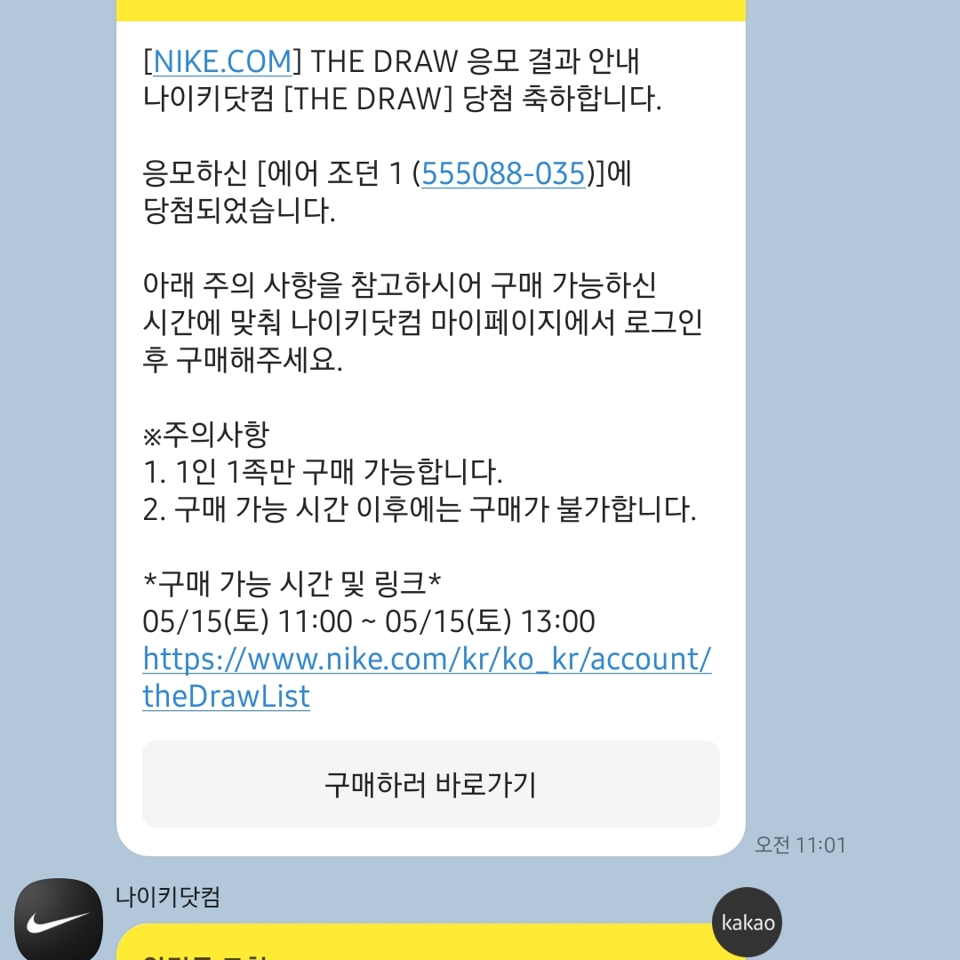 Jordan 1 Retro High OG Shadow 2.0 착용 스타일