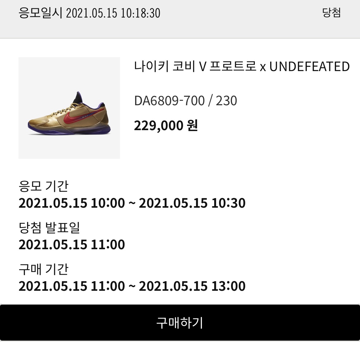 Nike x Undefeated Kobe 5 Protro Hall of Fame 착용 스타일