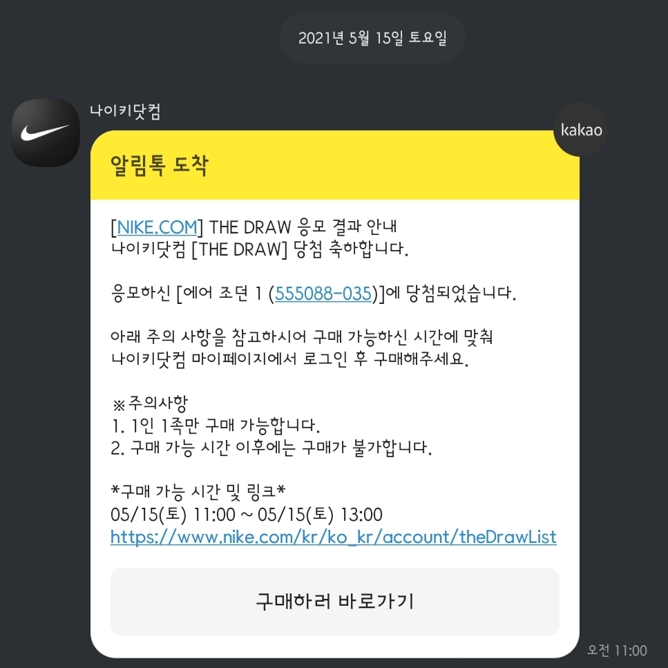 Jordan 1 Retro High OG Shadow 2.0 착용 스타일