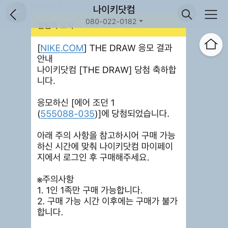 Jordan 1 Retro High OG Shadow 2.0 착용 스타일