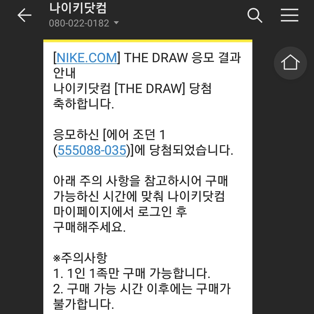 Jordan 1 Retro High OG Shadow 2.0 착용 스타일