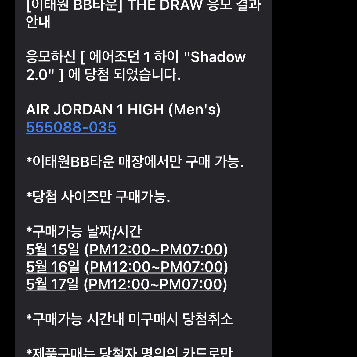 Jordan 1 Retro High OG Shadow 2.0 착용 스타일 - 2