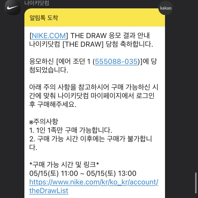 Jordan 1 Retro High OG Shadow 2.0 착용 스타일