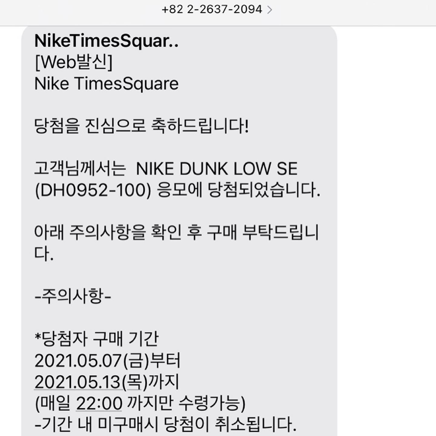 Nike Dunk Low SE Free.99 White 착용 스타일 - 2