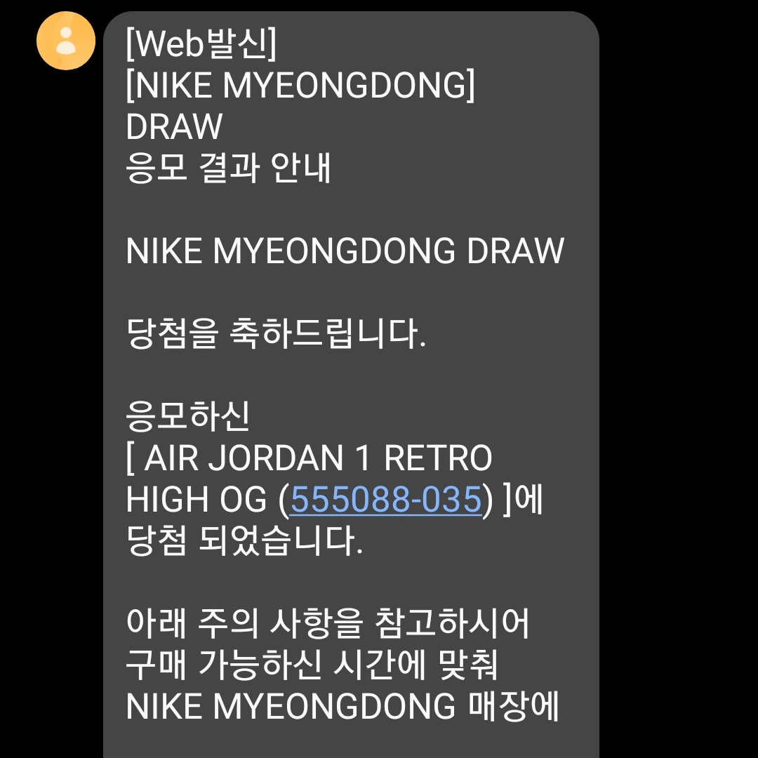 Jordan 1 Retro High OG Shadow 2.0 착용 스타일