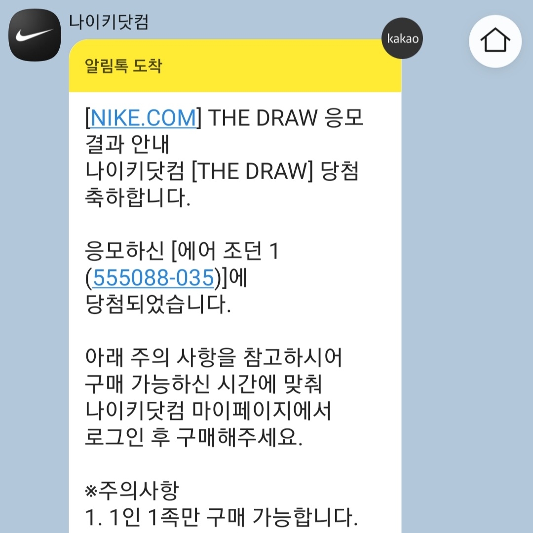Jordan 1 Retro High OG Shadow 2.0 착용 스타일 - 2
