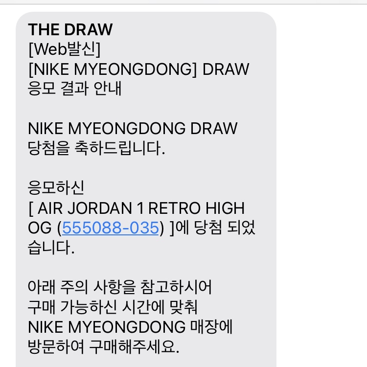 Jordan 1 Retro High OG Shadow 2.0 착용 스타일