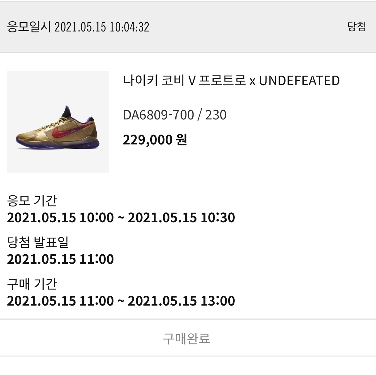 Nike x Undefeated Kobe 5 Protro Hall of Fame 착용 스타일