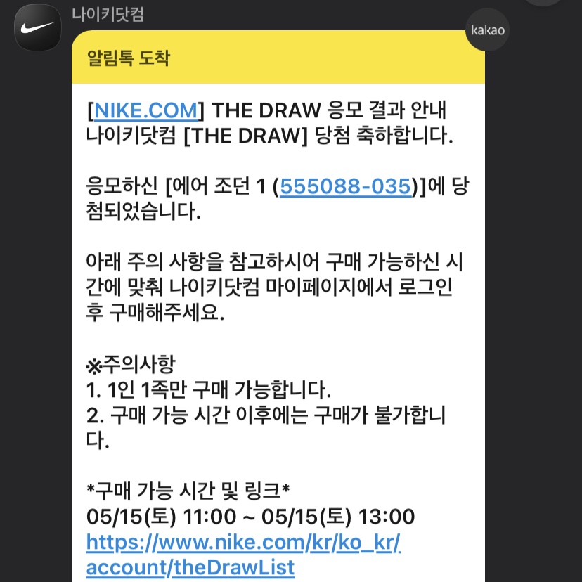 Jordan 1 Retro High OG Shadow 2.0 착용 스타일