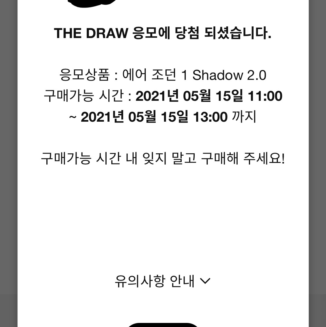 Jordan 1 Retro High OG Shadow 2.0 착용 스타일