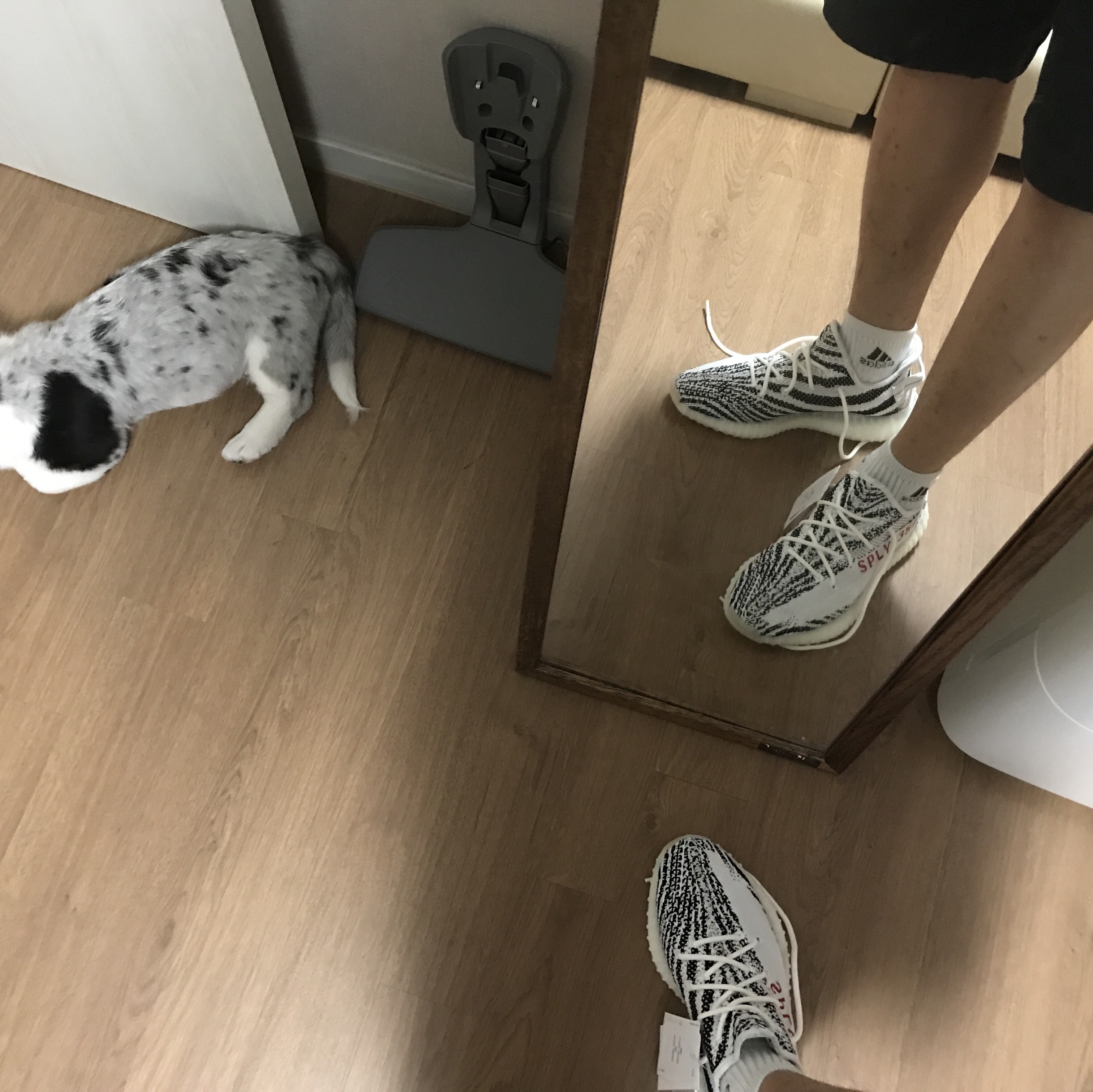 Adidas Yeezy Boost 350 V2 Zebra 2017/2019/2020 착용 스타일 - 1