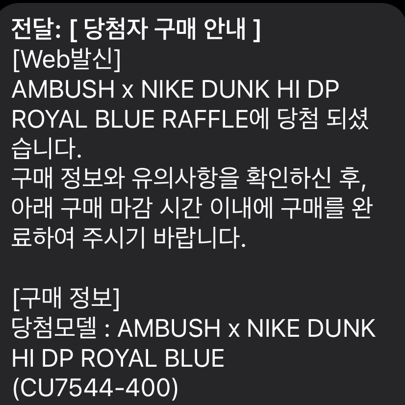 Nike x Ambush Dunk High Deep Royal Blue 착용 스타일