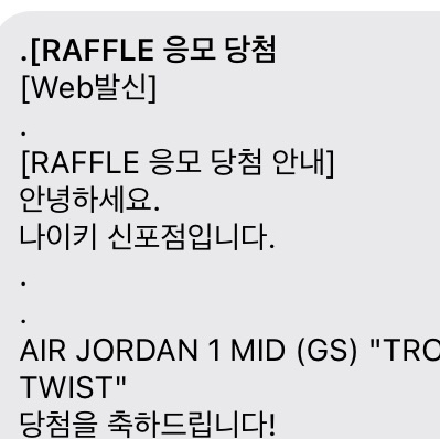 (GS) Jordan 1 Mid Tropical Twist 착용 스타일