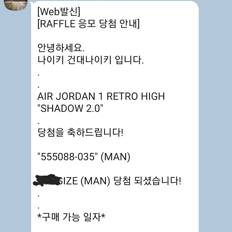 Jordan 1 Retro High OG Shadow 2.0 착용 스타일 - 4