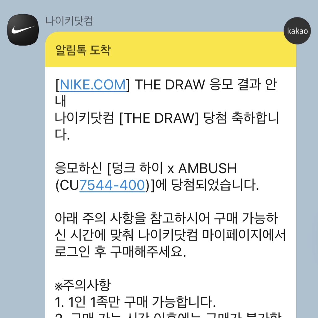 Nike x Ambush Dunk High Deep Royal Blue 착용 스타일
