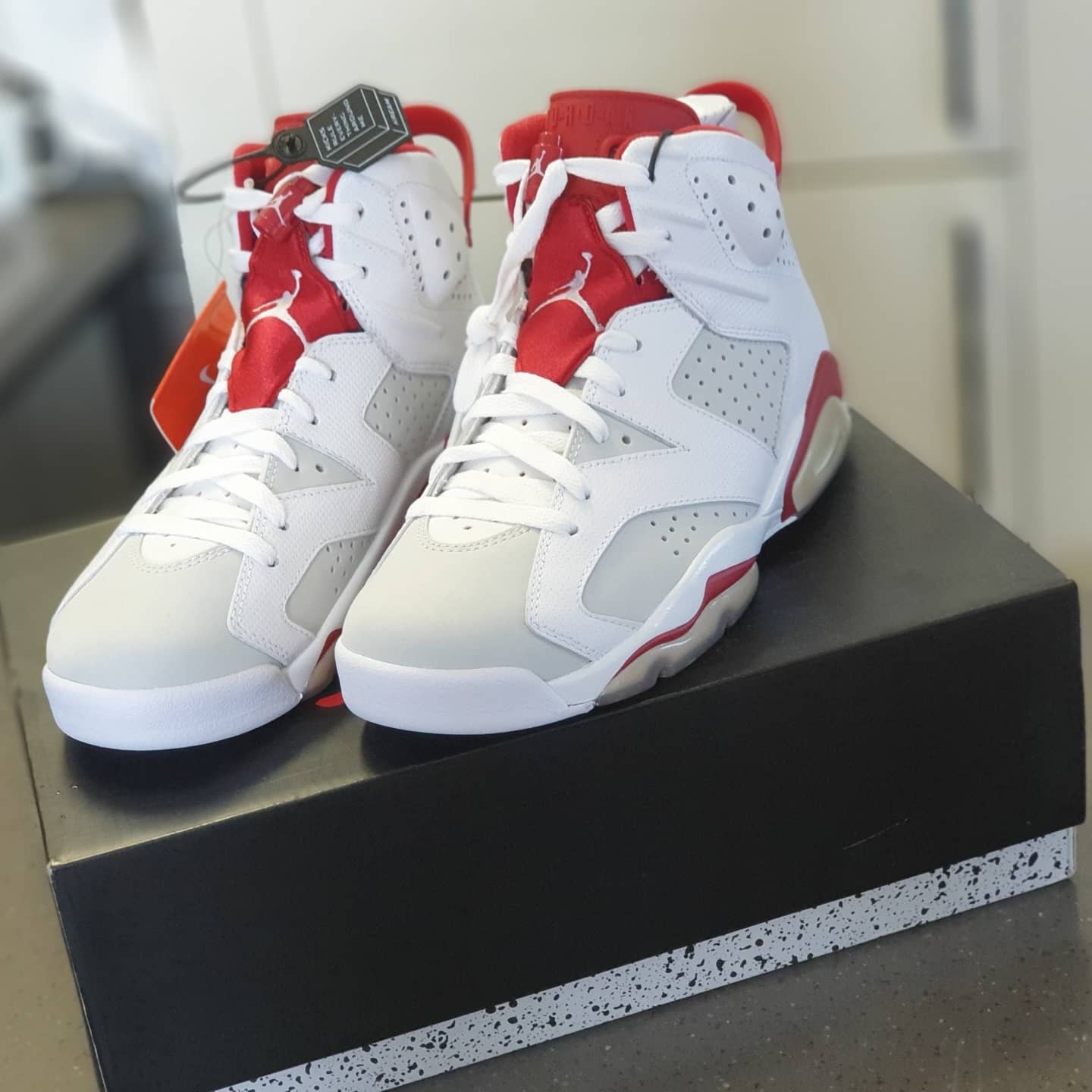 Jordan 6 Retro Alternate 착용 스타일 - 1