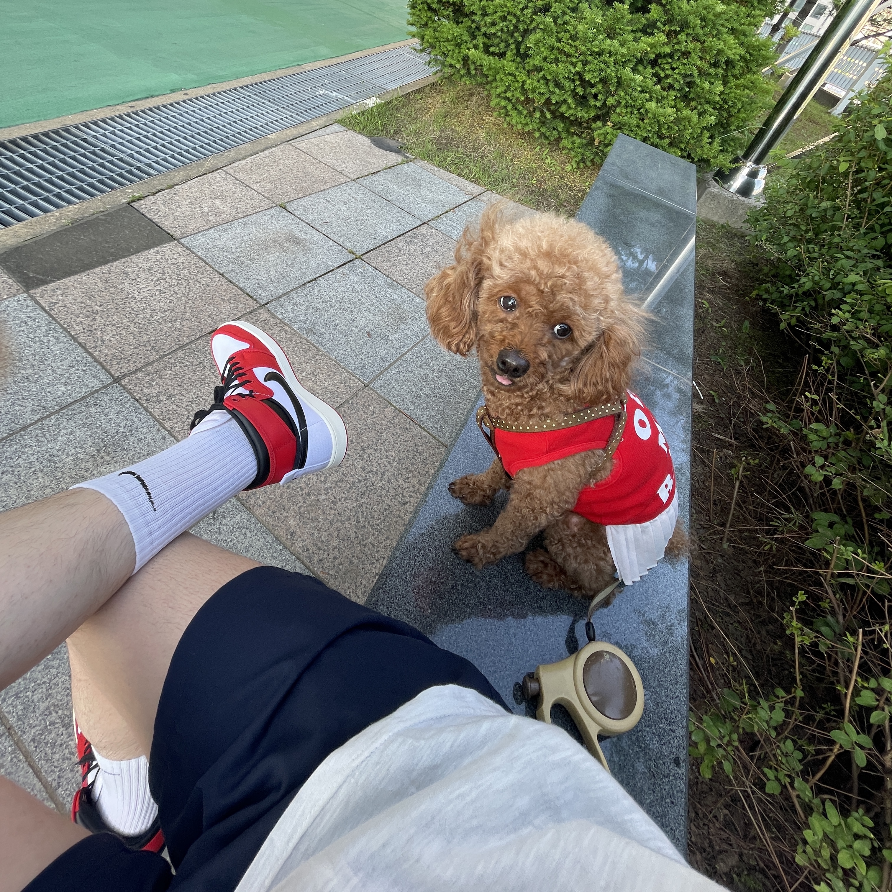 Jordan 1 KO Chicago 2021 착용 스타일