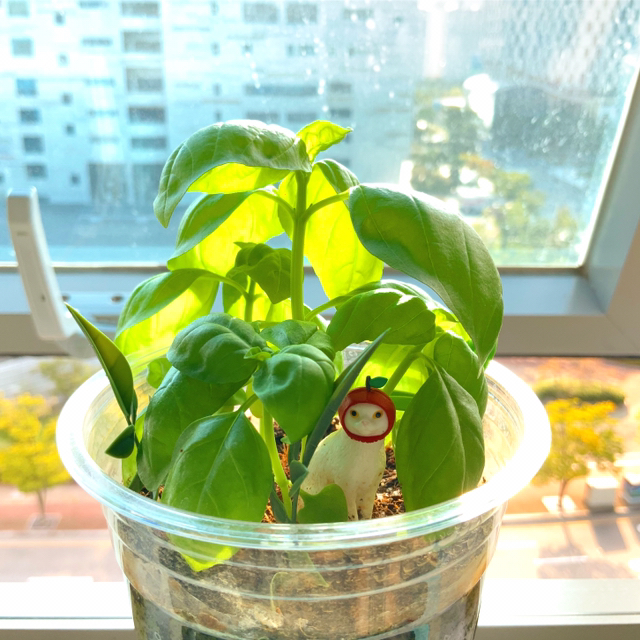 KREAM 프로필 이미지