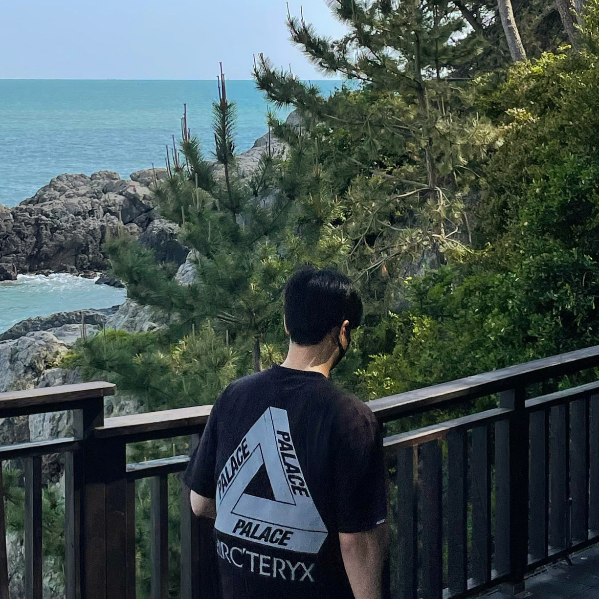 Palace x Arc'teryx T-Shirt Black - 20FW 착용 스타일