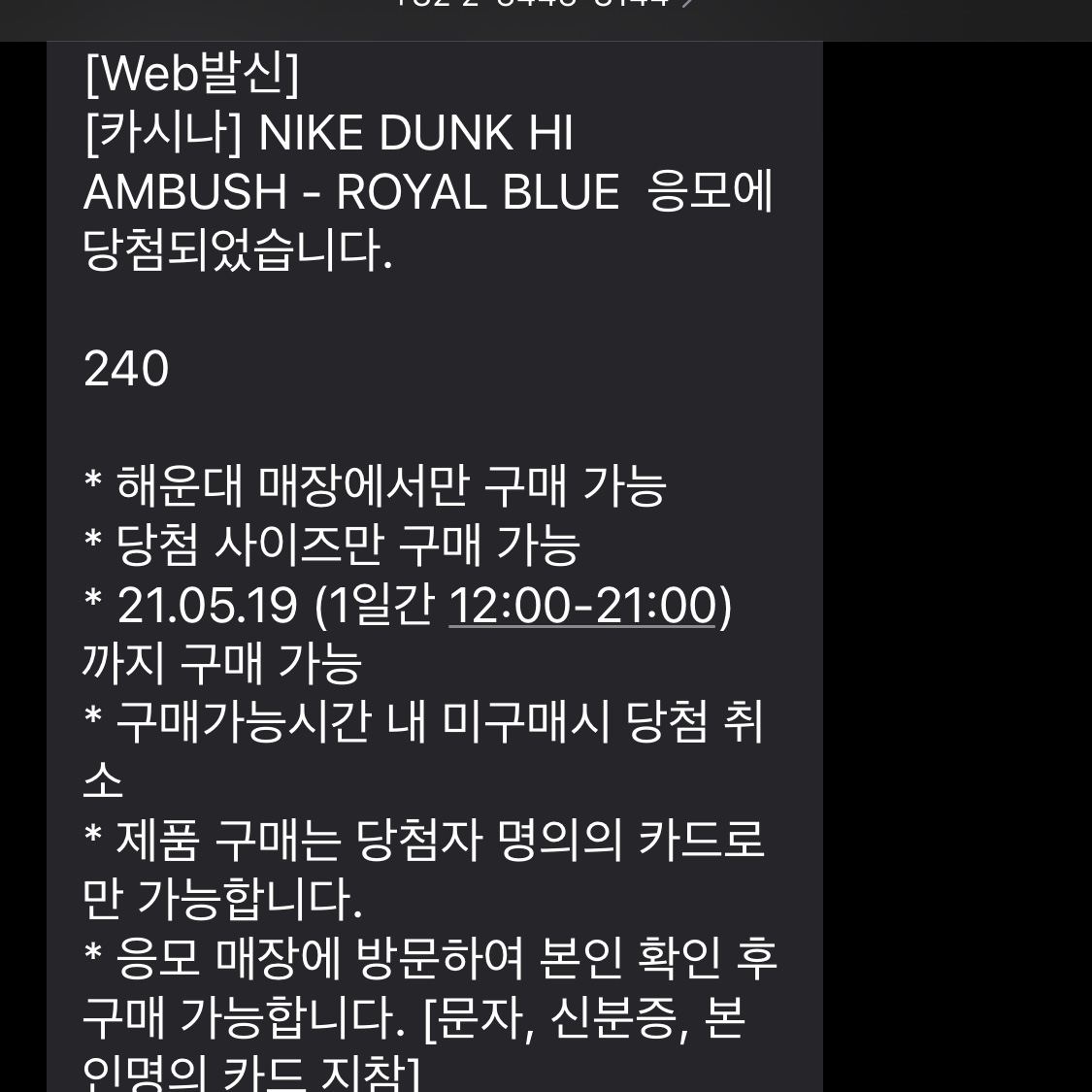 Nike x Ambush Dunk High Deep Royal Blue 착용 스타일